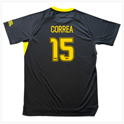 Authentic Players Jersey - CORREA 15